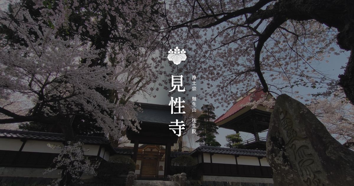 m176 古文書 一括 山形 仏教 寺院 写真 m176 古文書 一括 山形 仏教